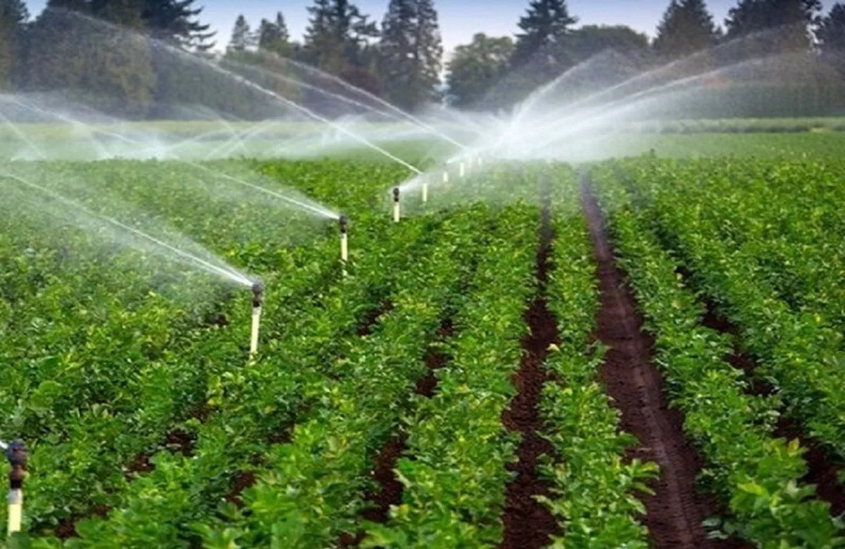 افتتاح ۹۸۹ طرح عمرانی آب و خاک کشاورزی در هفته دولت/ ایجاد ٣۵ هزار شغل