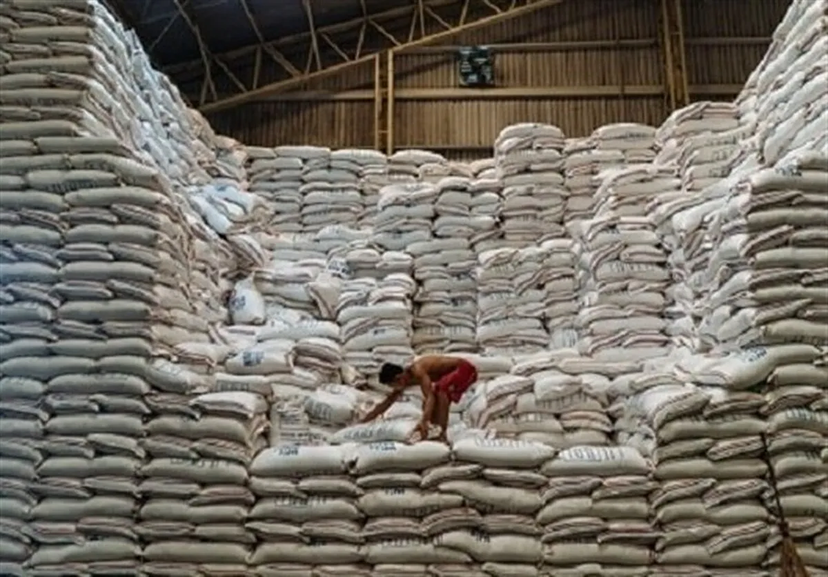قیمت برنج ایرانی تا ۲۱۰ هزار تومان کاهش یافت / تداوم ریزش قیمت‌ها