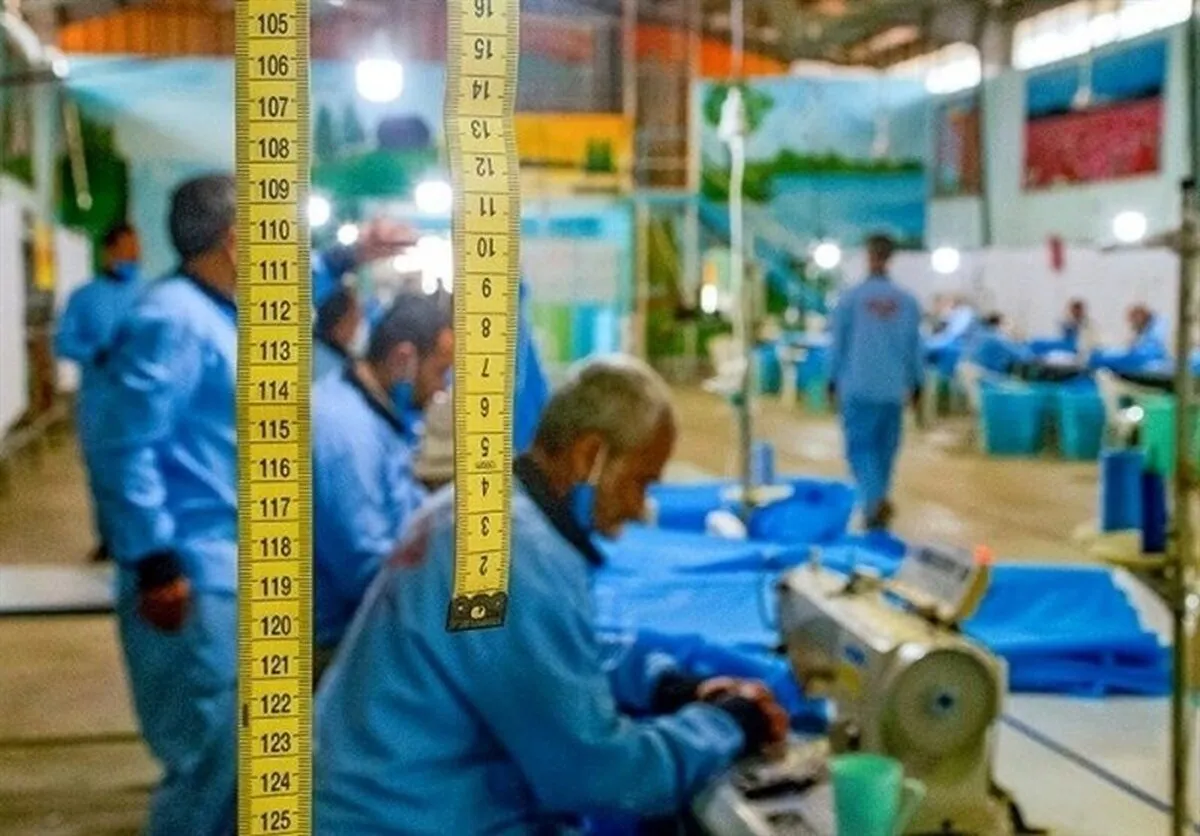 سامانه های «کات»، «تک» و «سامانه ملی رصد اشتغال» به کجا رسید؟