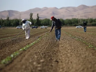 جنگ کود کشاورزان آمریکا را هم گران کرد؛ آمریکایی‌ها غیراز بنزین منتظر گرانی غذا باشند