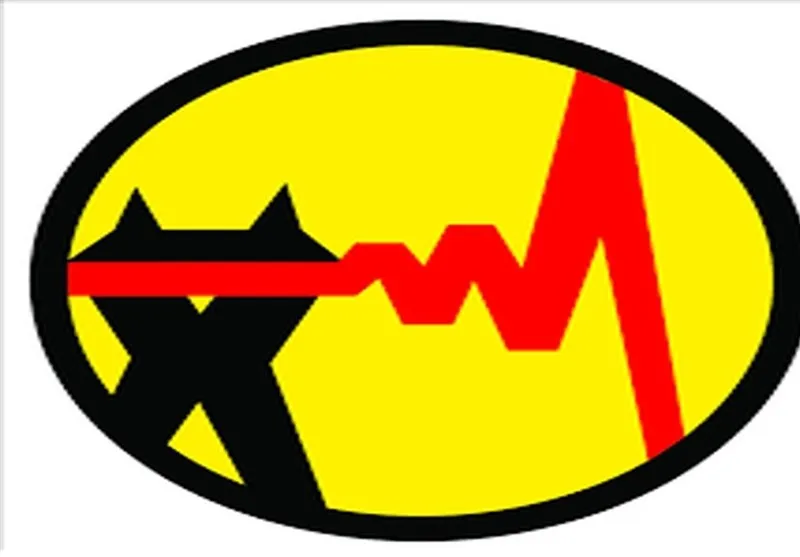 خاموشی برق سراسری نداریم /قطعی ها بلافاصله متصل می‌شود