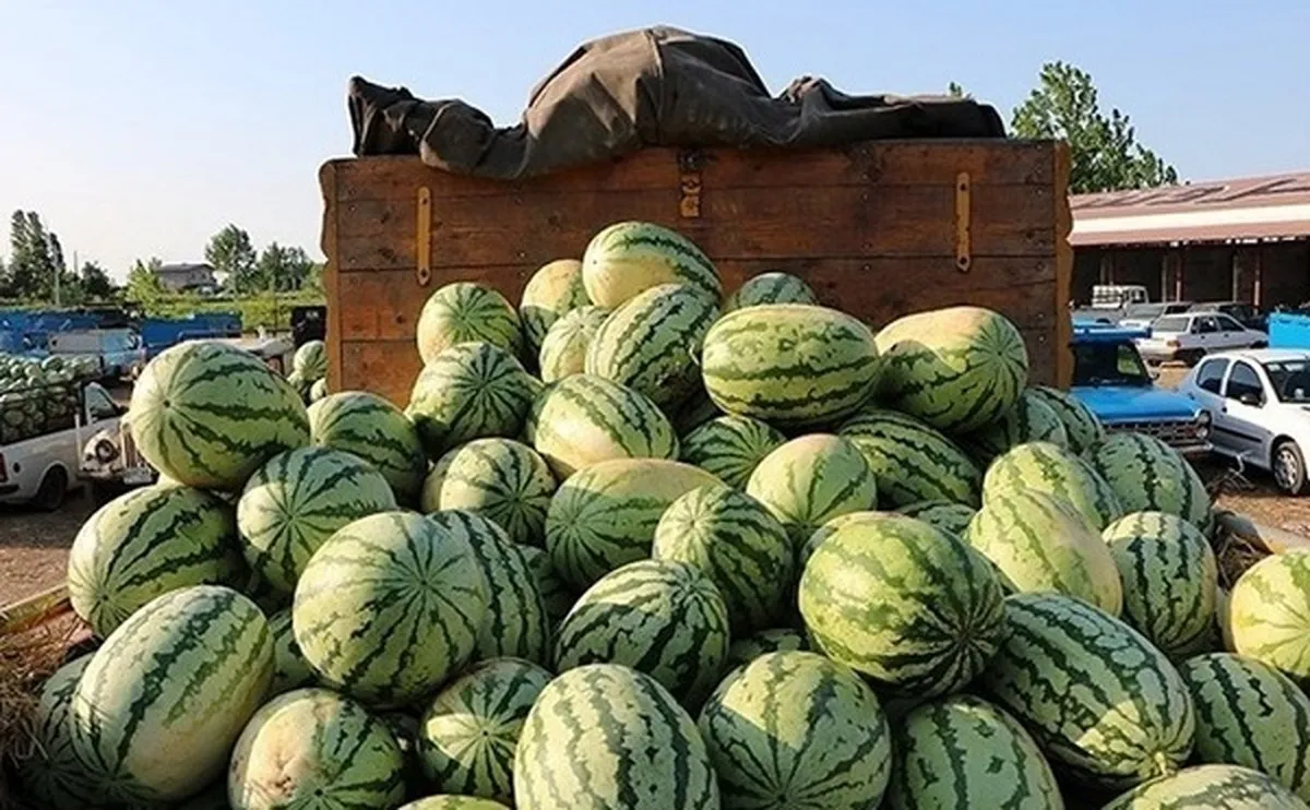 ممنوعیت‌ ناگهانی واردات ۴۵ محصول کشاورزی به عراق و اقلیم + فهرست