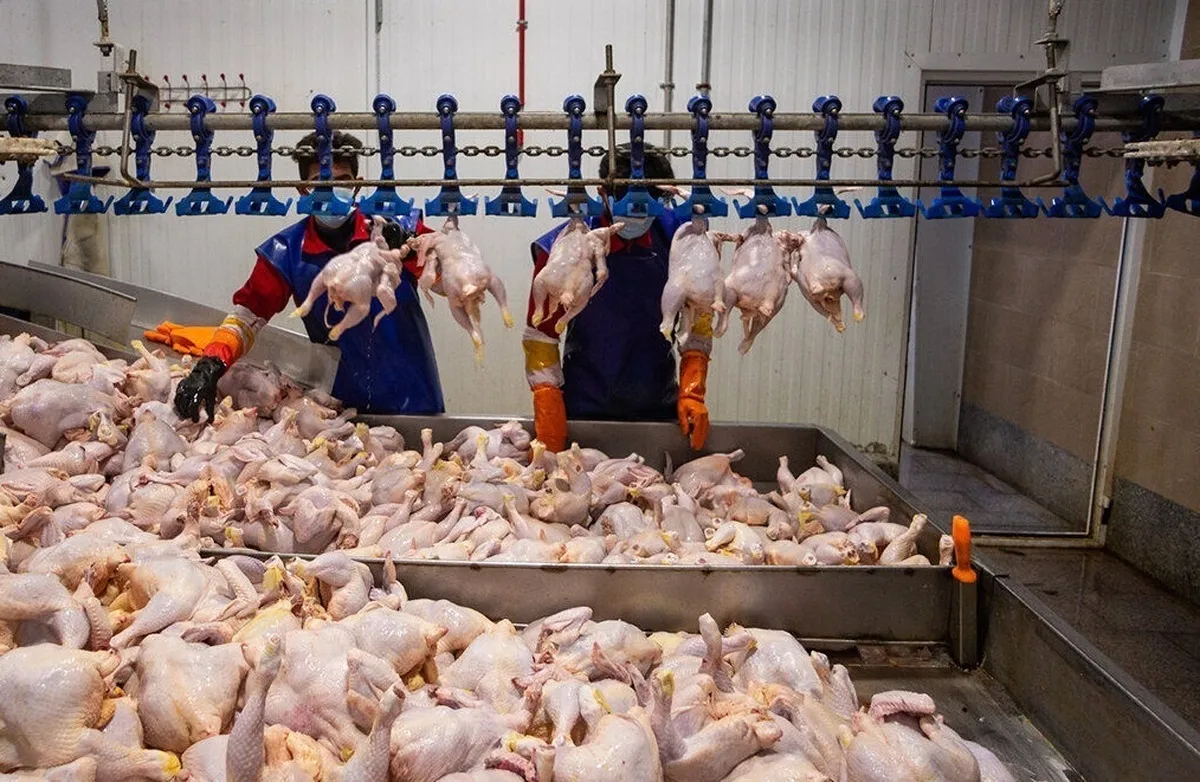 هر کیلو گرم گوشت مرغ ۱۶۸ هزار تومان شد+جدول قیمت کالاهای اساسی