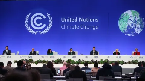 اجلاس کاپ ۲۹ در سطح حضور رئیس‌جمهور کشورها نیست