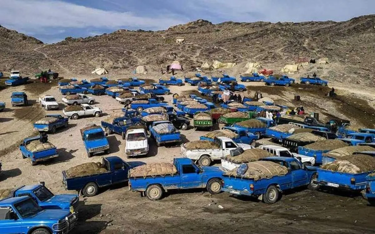 نفتی‌ها برای توضیح قاچاق ۳۰ میلیون لیتر فرآورده به مجلس می‌روند