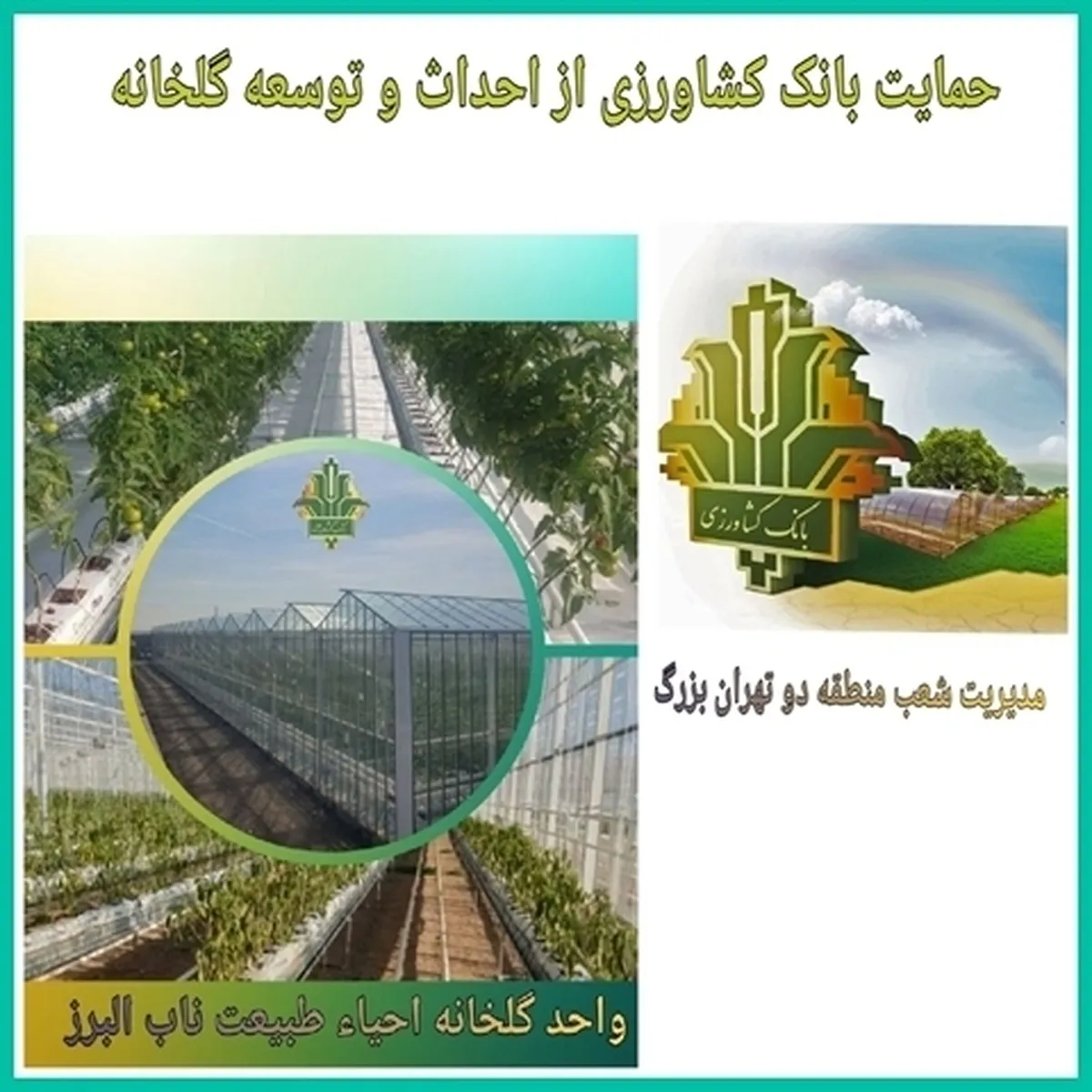 سرمایه‌گذاری ۱۰۰۰ میلیاردی بانک کشاورزی در یک طرح مدرن گلخانه‌ای