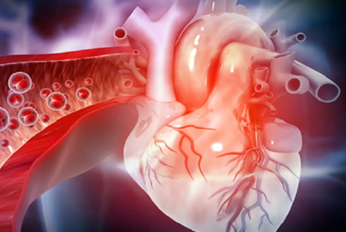 تأثیر شگفت‌انگیز ورزش بر ساختار عصبی قلب