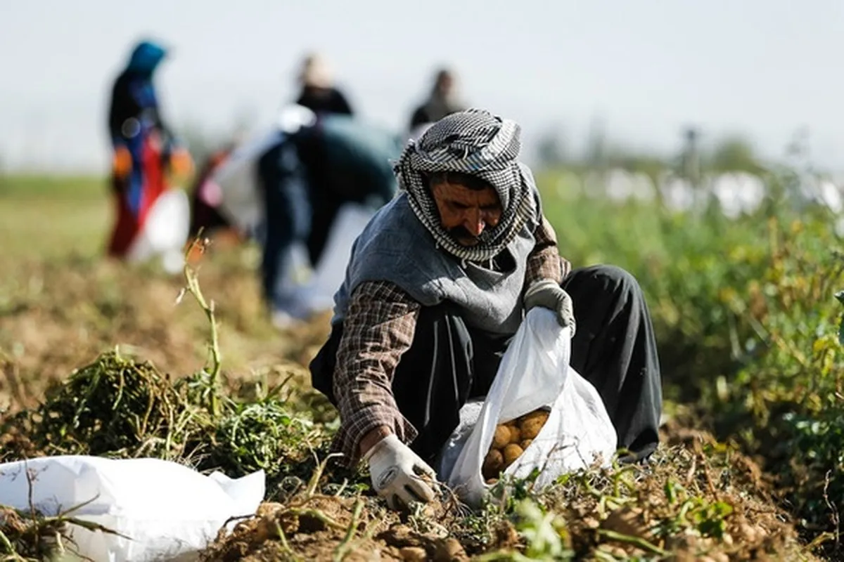 تعیین‌ تکلیف اراضی کشاورزی، پیش‌نیاز اجرای الگوی کشت است