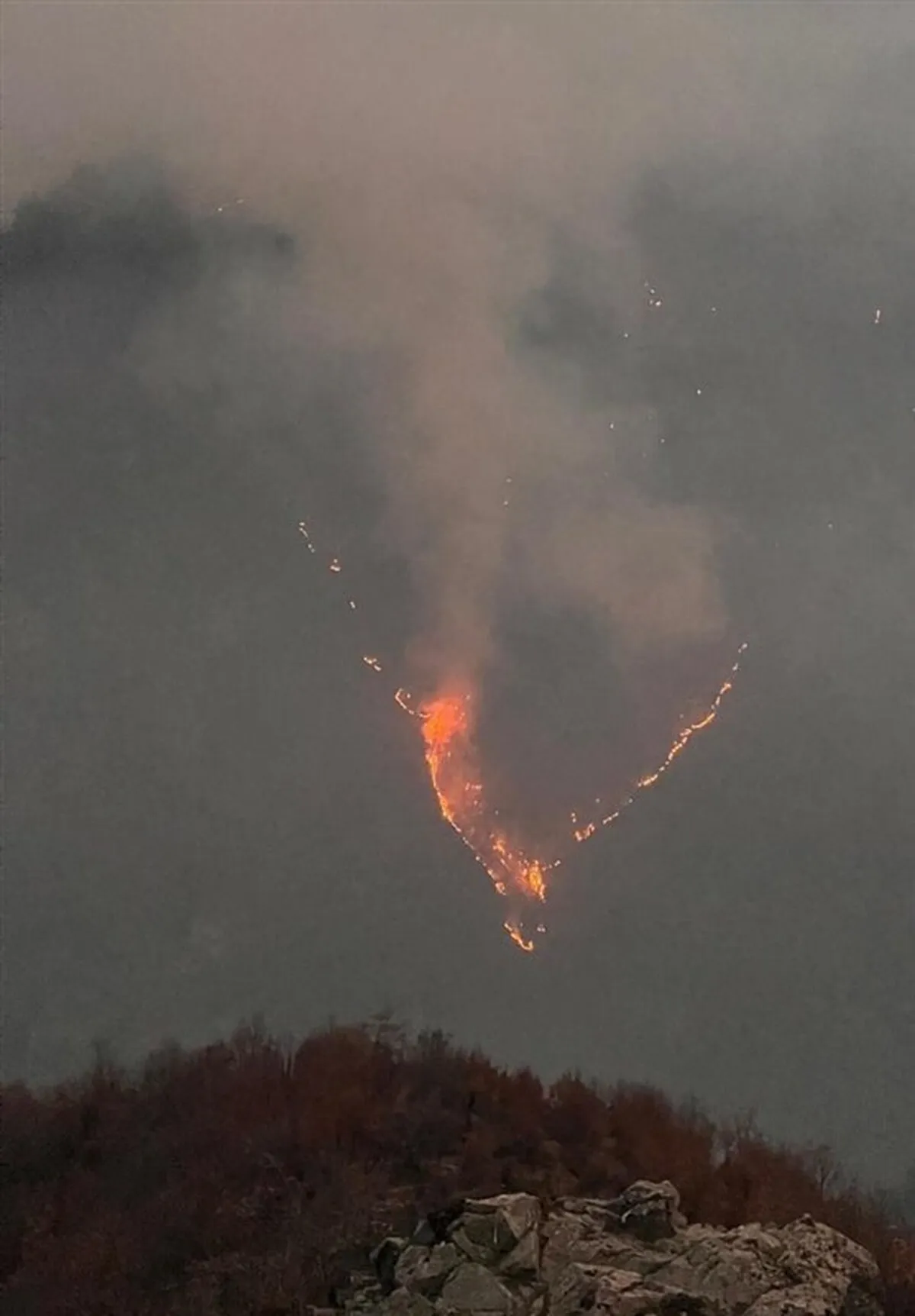 آتش هیرکانی به طول کامل مهار شد + جزئیات