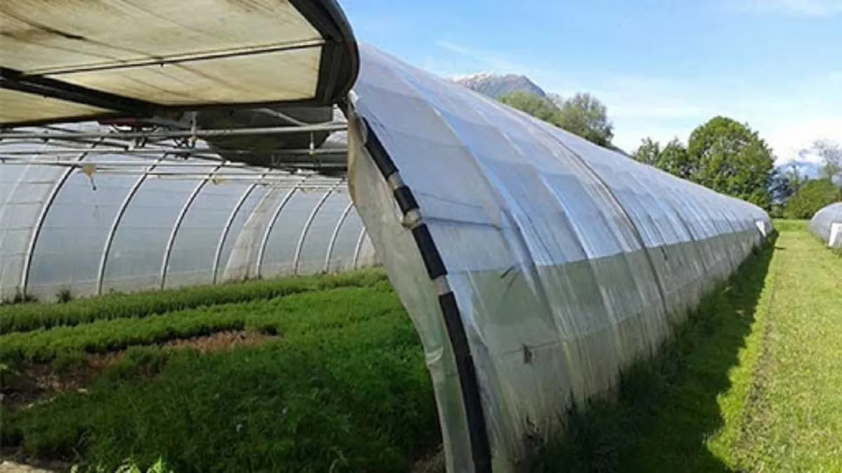 ورود فناوری شرط توسعه پایدار بهره وری آب بخش کشاورزی