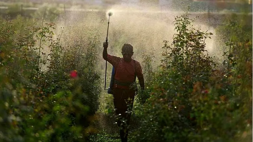 تنگه هرمز چطور در حال تغییر شاخص جهانی غذا و کشاورزی دنیاست؟