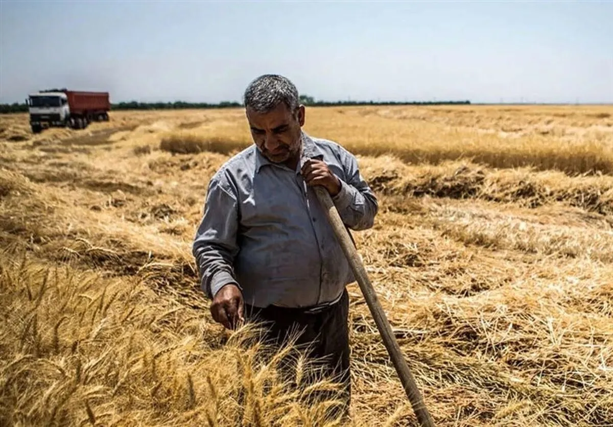 واریز ۲۸.۵همت بابت خرید تضمینی گندم به حساب کشاورزان