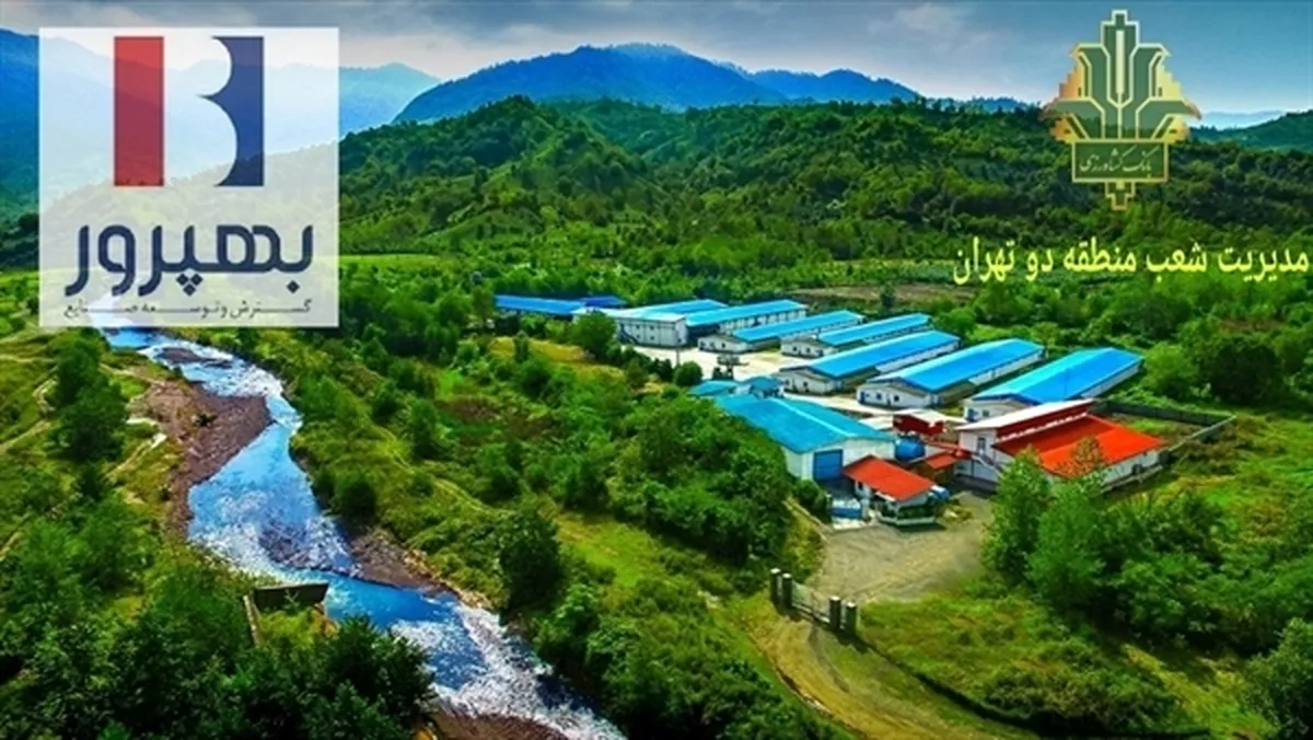 حمایت ۲۵۰۰ میلیارد ریالی بانک کشاورزی برای توسعه یک زنجیره تأمین پروتئین