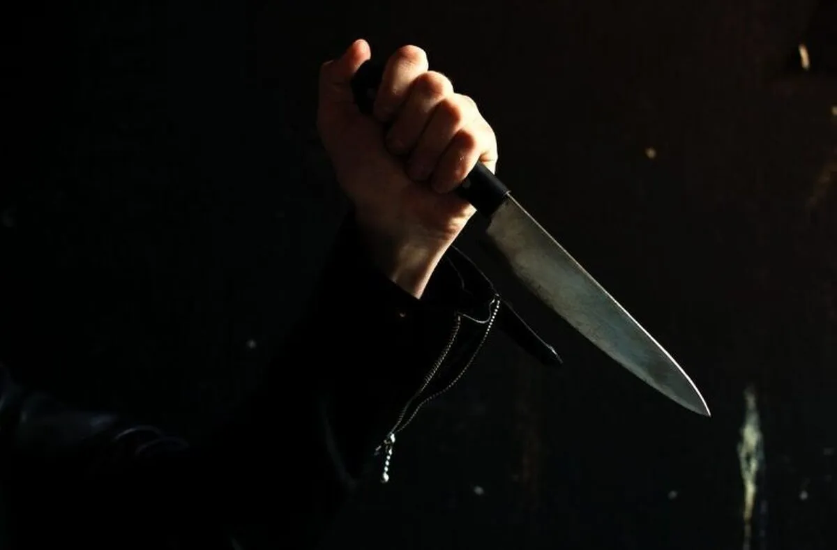 ماهیگیری دشمن از پرونده قتل مسعود داوودی