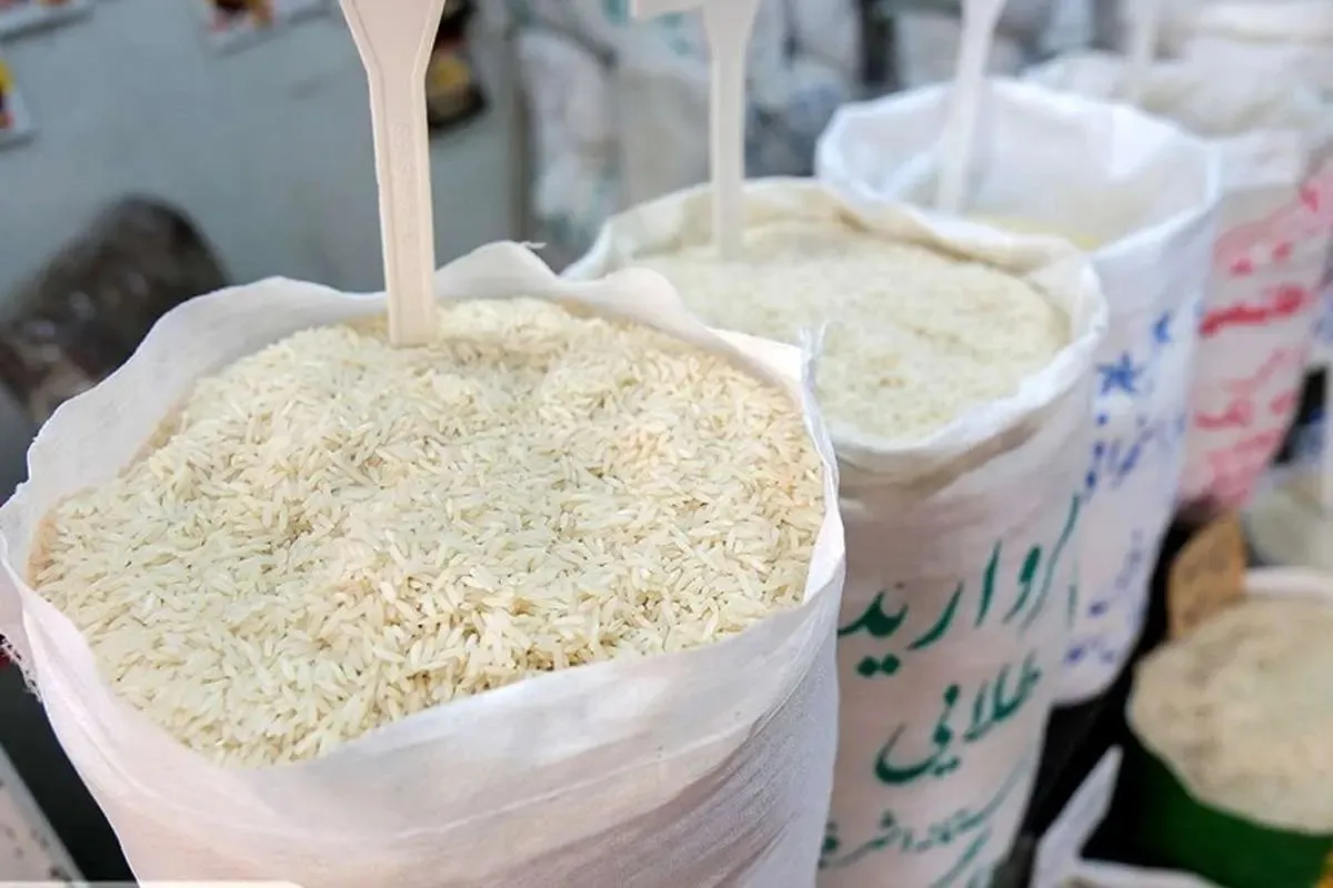 قیمت برنج هندی مرداد ۱۴۰۴