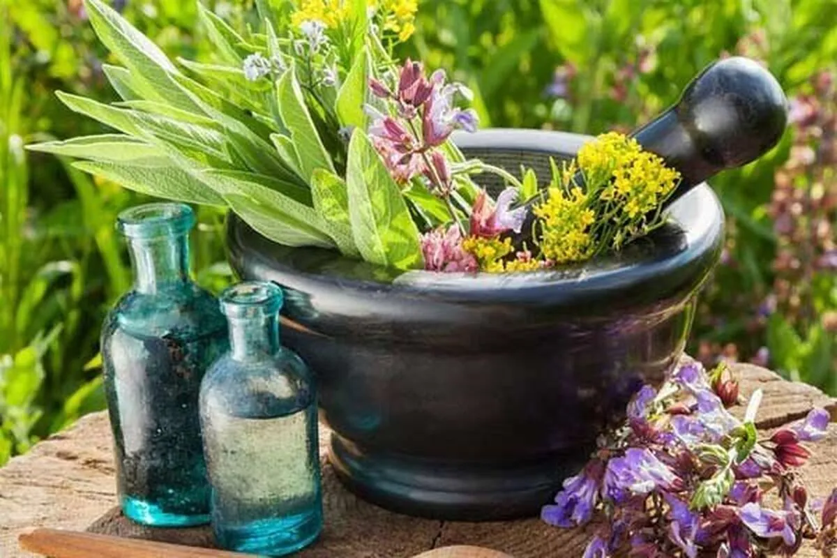 ظرفیت ایران در تولید لوازم بهداشتی به‌دلیل تنوع گیاهی؛ سرکوب نرخ ریل واردات شد