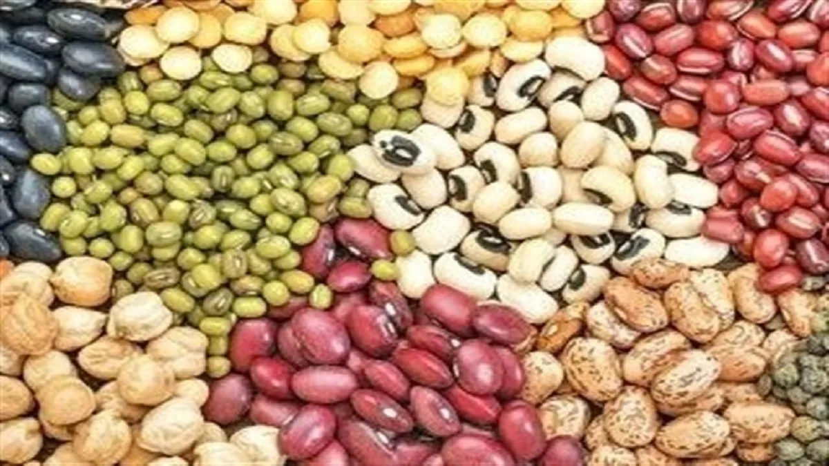 ۷۰ درصد حبوبات تولید داخل است