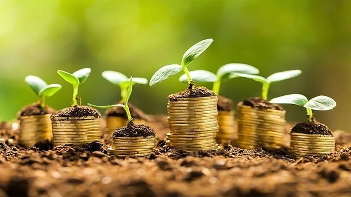 بیمه فراگیر گندم در سطح بیش از ۶ میلیون هکتار اجرا شد