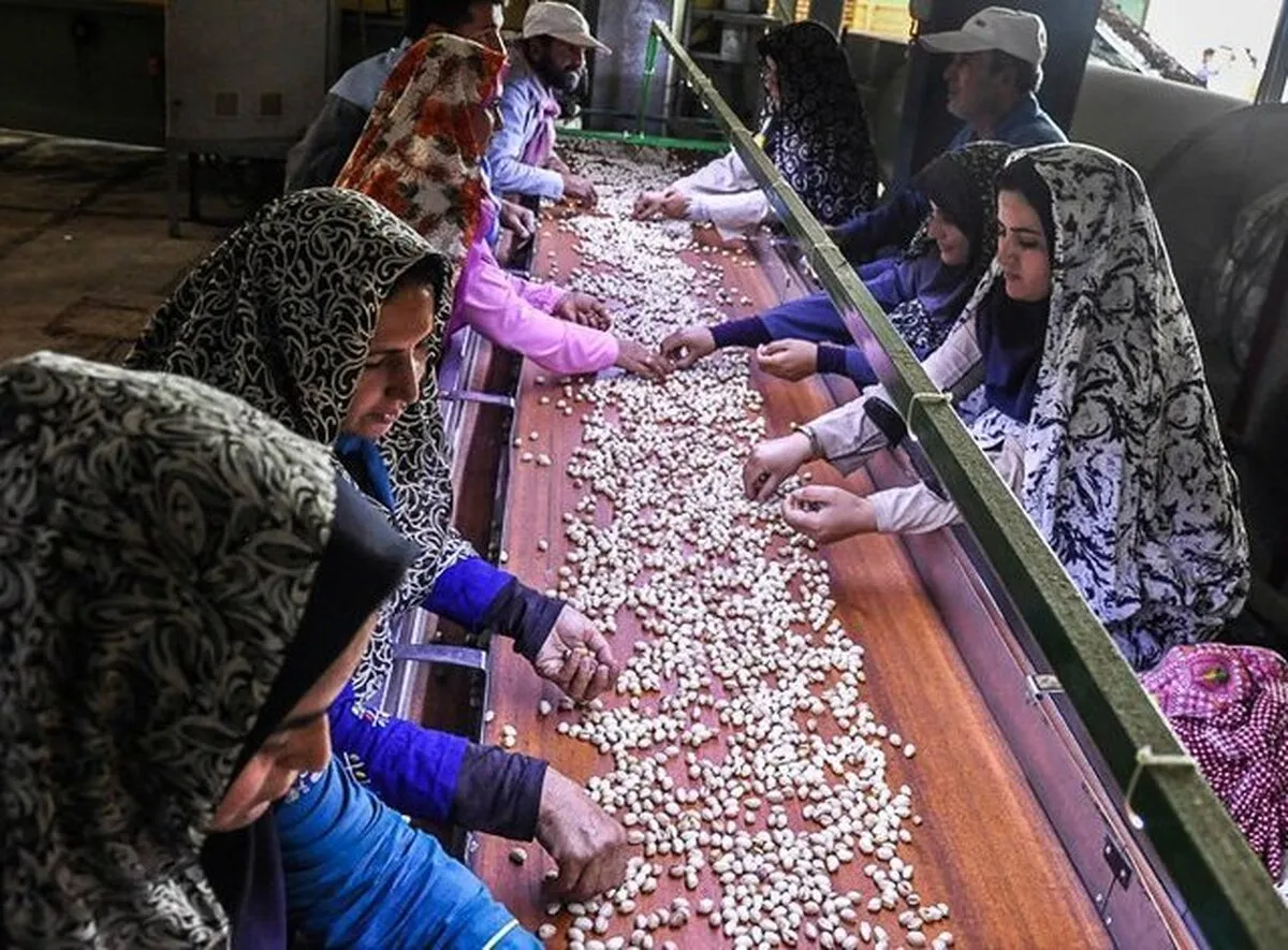 حمایت دولت از سرمایه‌گذاری در روستا/ کارگاه‌های روستایی به بنگاه‌های بزرگ متصل می‌شود