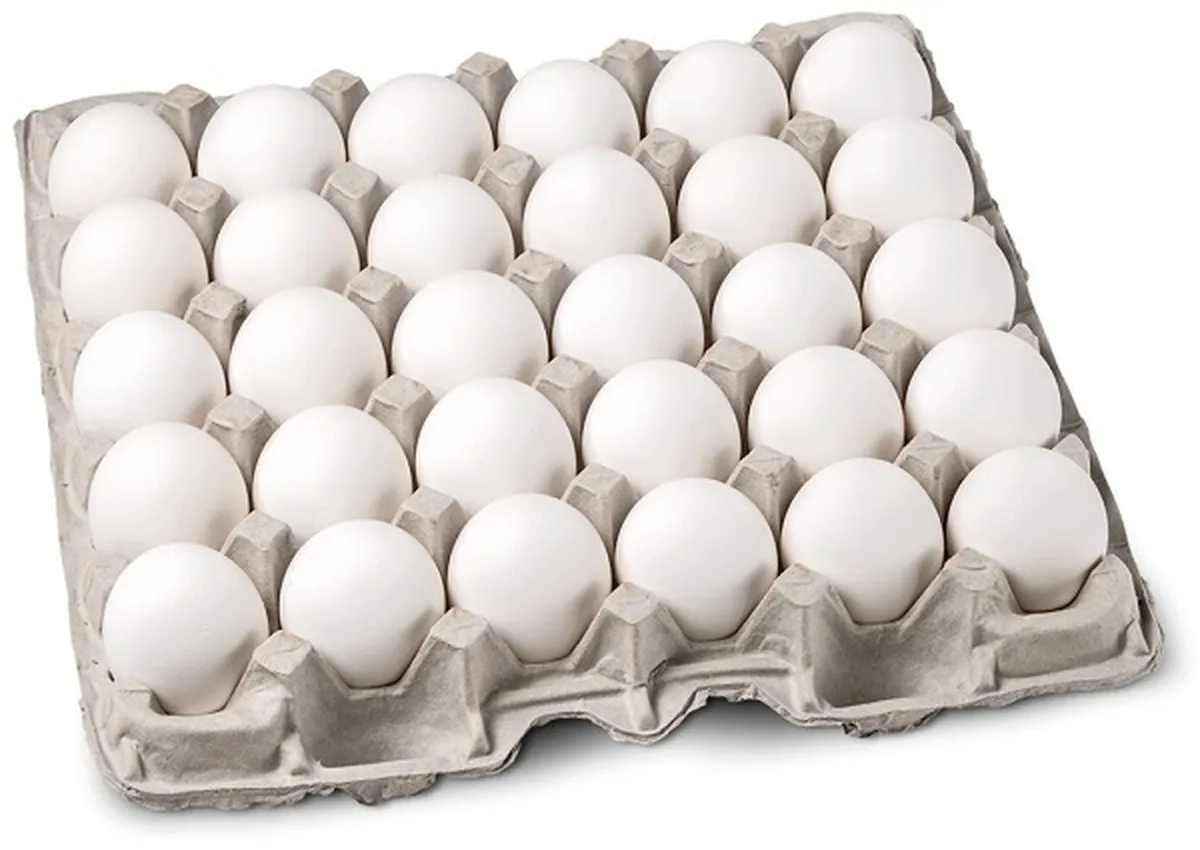 کاهش ۵۰ درصدی قیمت تخم مرغ