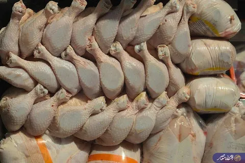 کاهش قیمت مرغ به ۲۱۰ هزار تومان؛ بازار تهران از التهاب فاصله گرفت