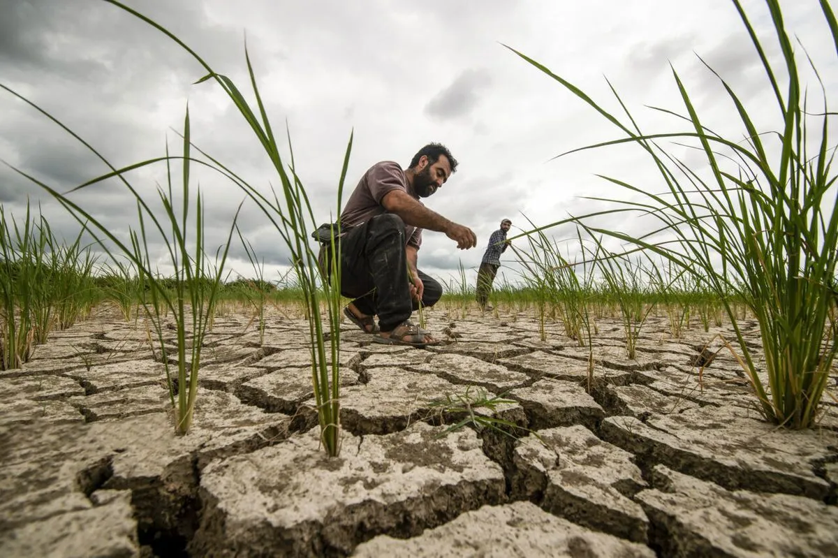 جزئیات میزان آب‌بری محصولات کشاورزی؛ توجه به آب مجازی ضرورت است