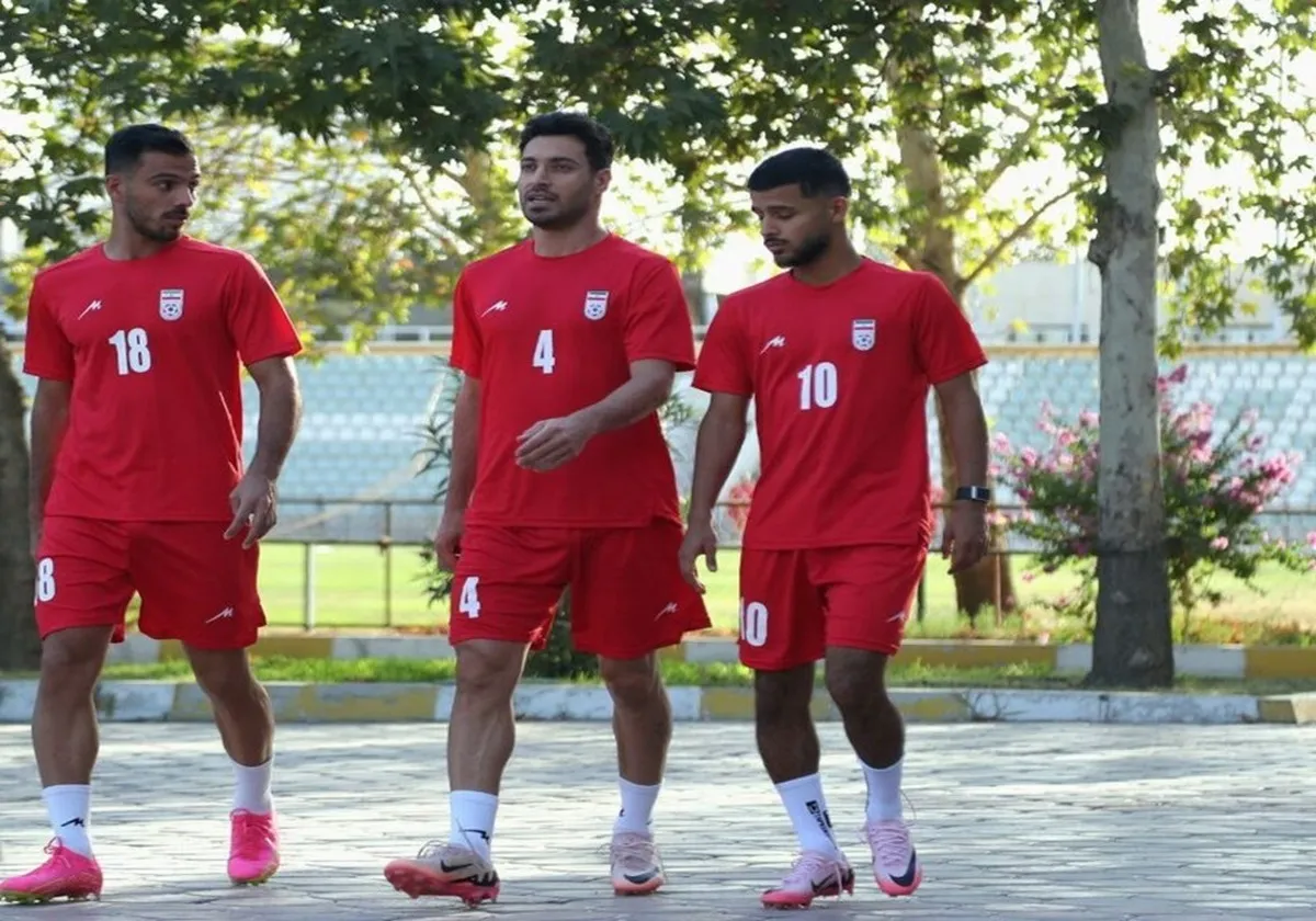 چرا  مهدی قایدی به تیم ملی دعوت شد؟