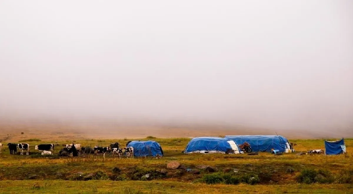 دولت از دوام جامعه عشایری حمایت کند