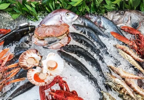 صادرات محصولات شیلاتی ایران به ۶۱ کشور جهان