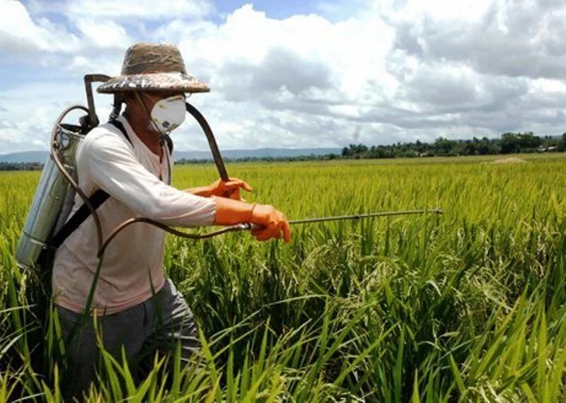 پیش‌شرط تسهیل تجارت کشاورزی در سازمان همکاری شانگهای مشخص شد
