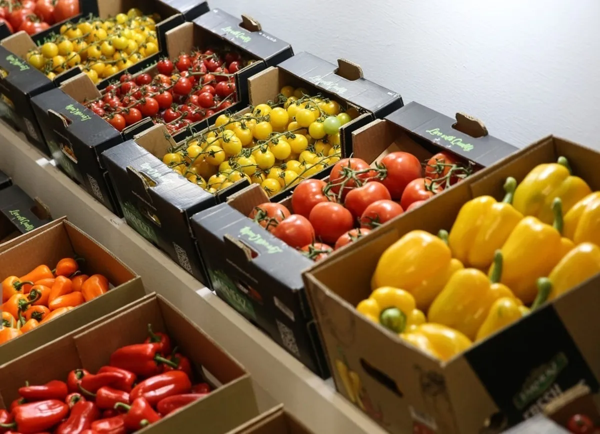 ایران دومین صادرکننده میوه به هند پس از آمریکا