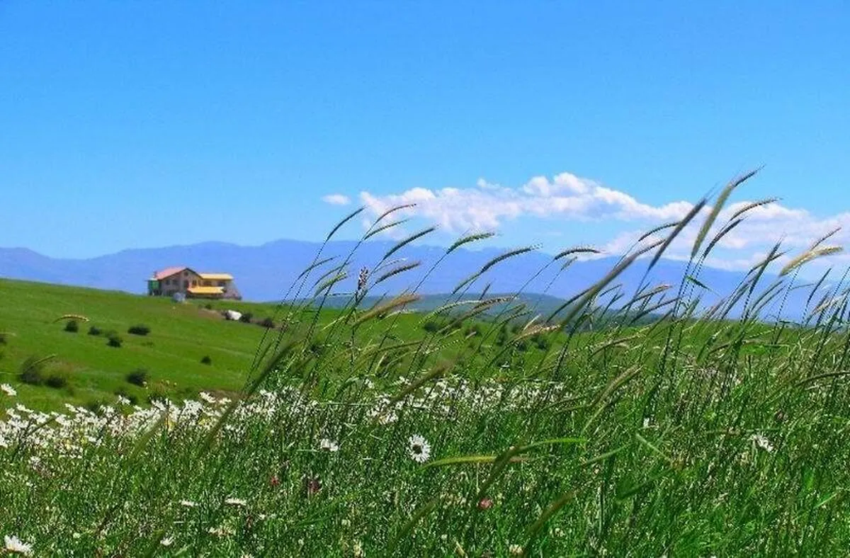 «روزگاری عشق و خیانت»؛ روایت دست‌درازی اسرائیل به «دشت مغان»