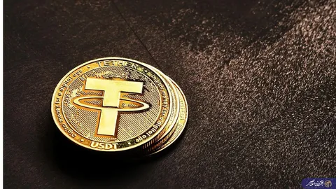 قیمت تتر امروز دوشنبه ۲۹ دی ۱۴۰۴