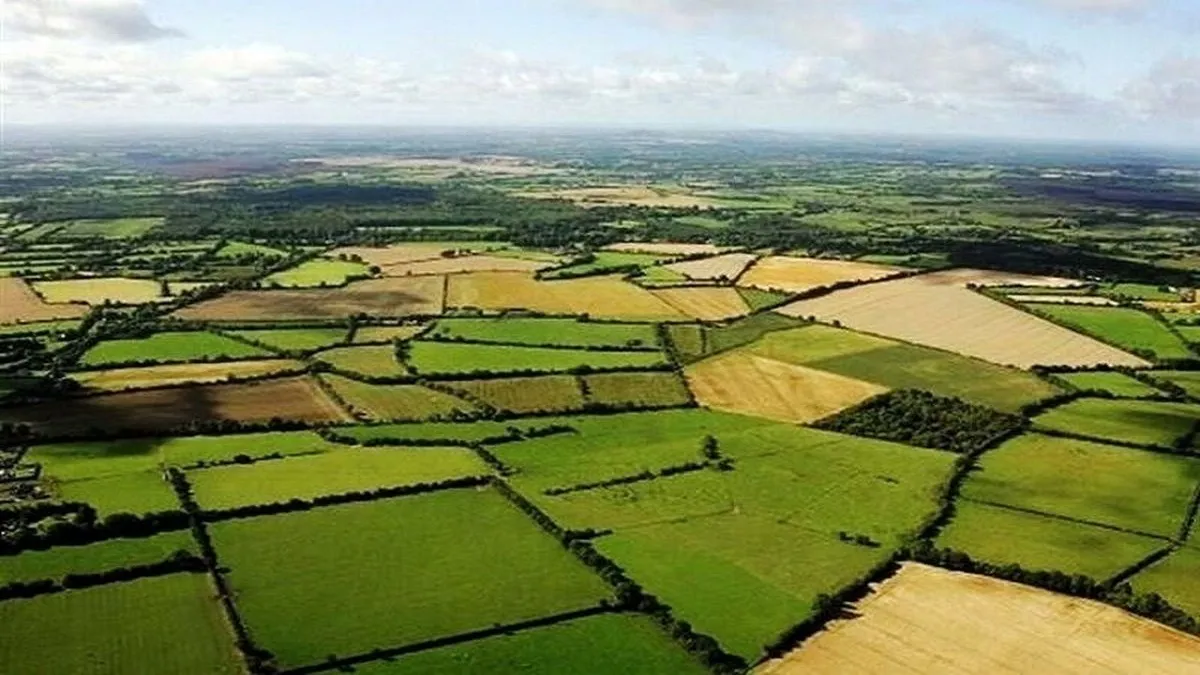 ۵ میلیون هکتار اراضی کشاورزی درجه یک و ۲ است