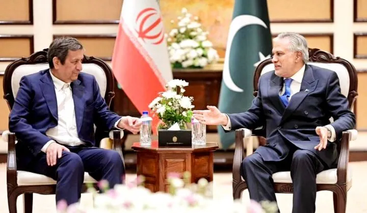 دیدار همتی با وزیر خارجه پاکستان