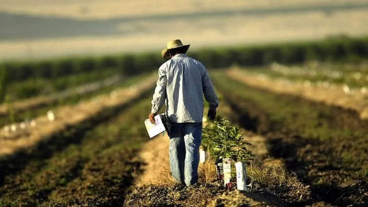 کشاورزان آمریکایی بازنده بزرگ تعرفه‌‌سازی ترامپ