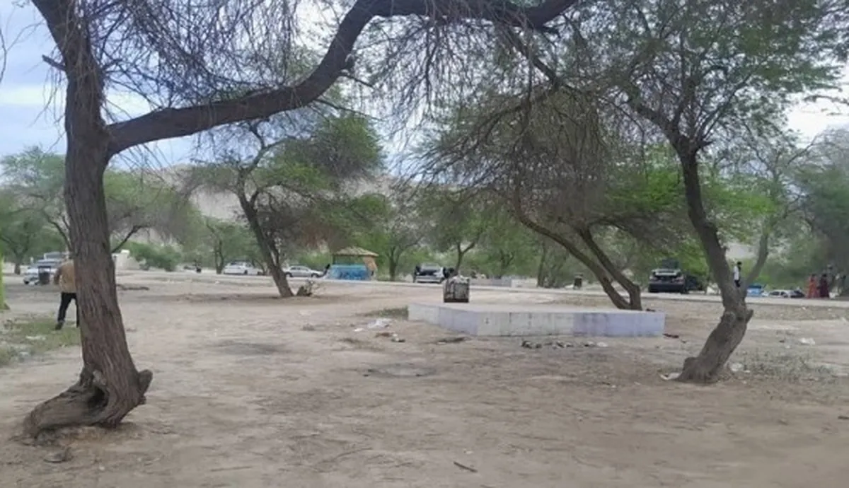 خرید و فروش اراضی جنگلی و ملی ممنوع است