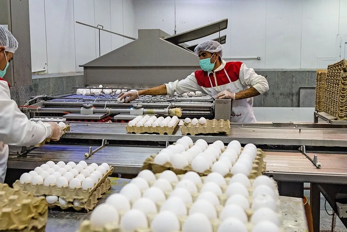 ایران و عمان در زمینه فرآورده‌های پروتئینی همکاری می‌کنند