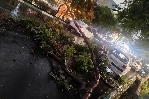 طوفان شدید تهران جان چند نفر را گرفت؟