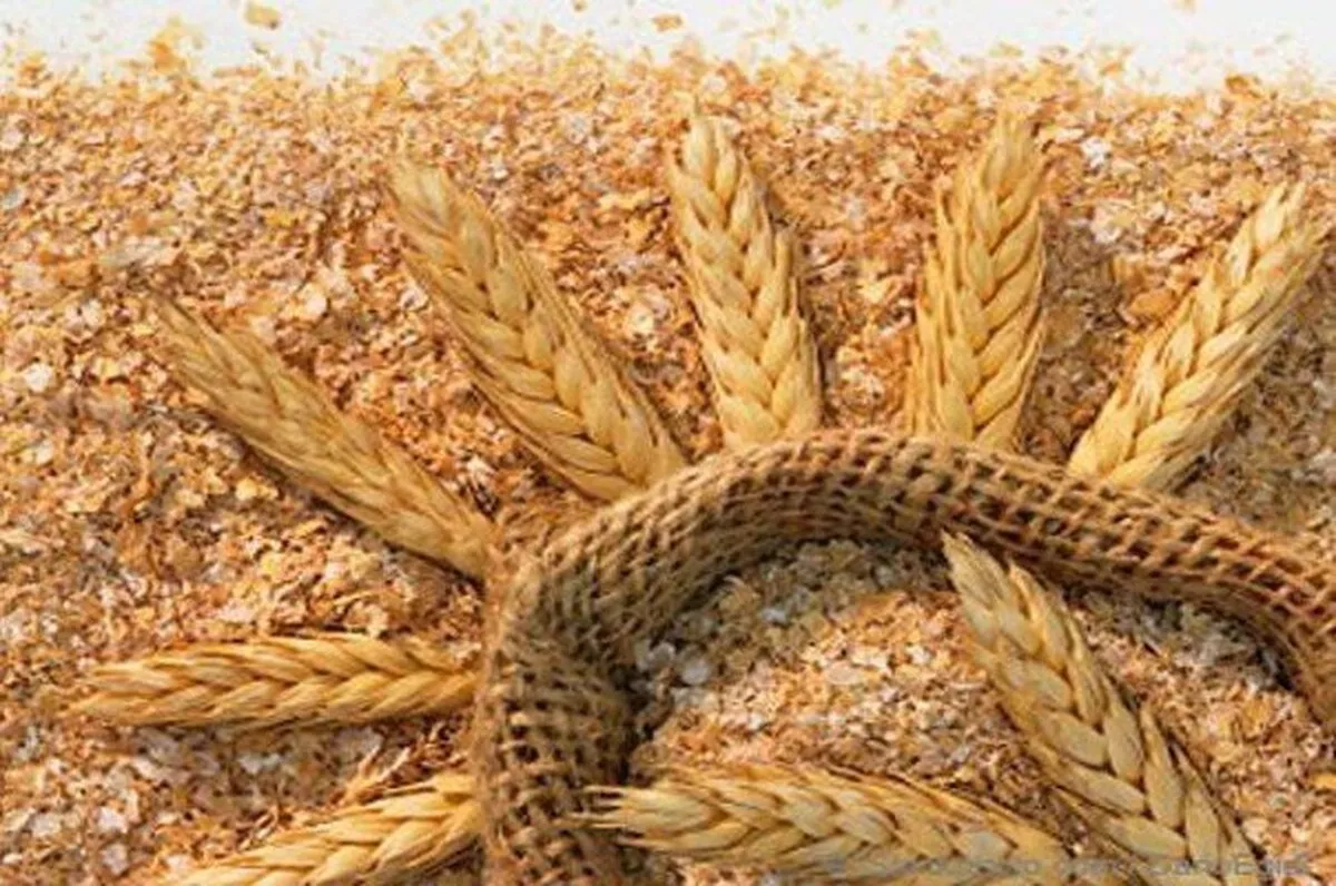 قیمت جدید سبوس مصوب شد