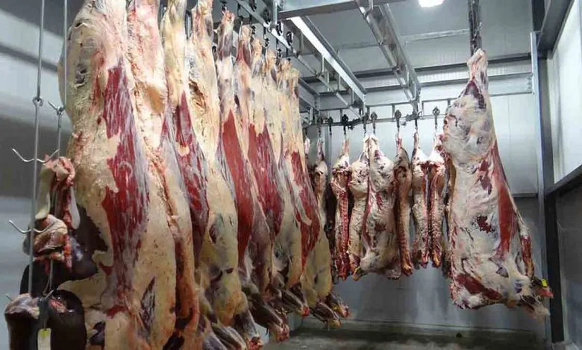 خودکفایی گوشت قرمز؛ وعده‌ای در گرو احیای صنعت فراموش‌شده پرواربندی