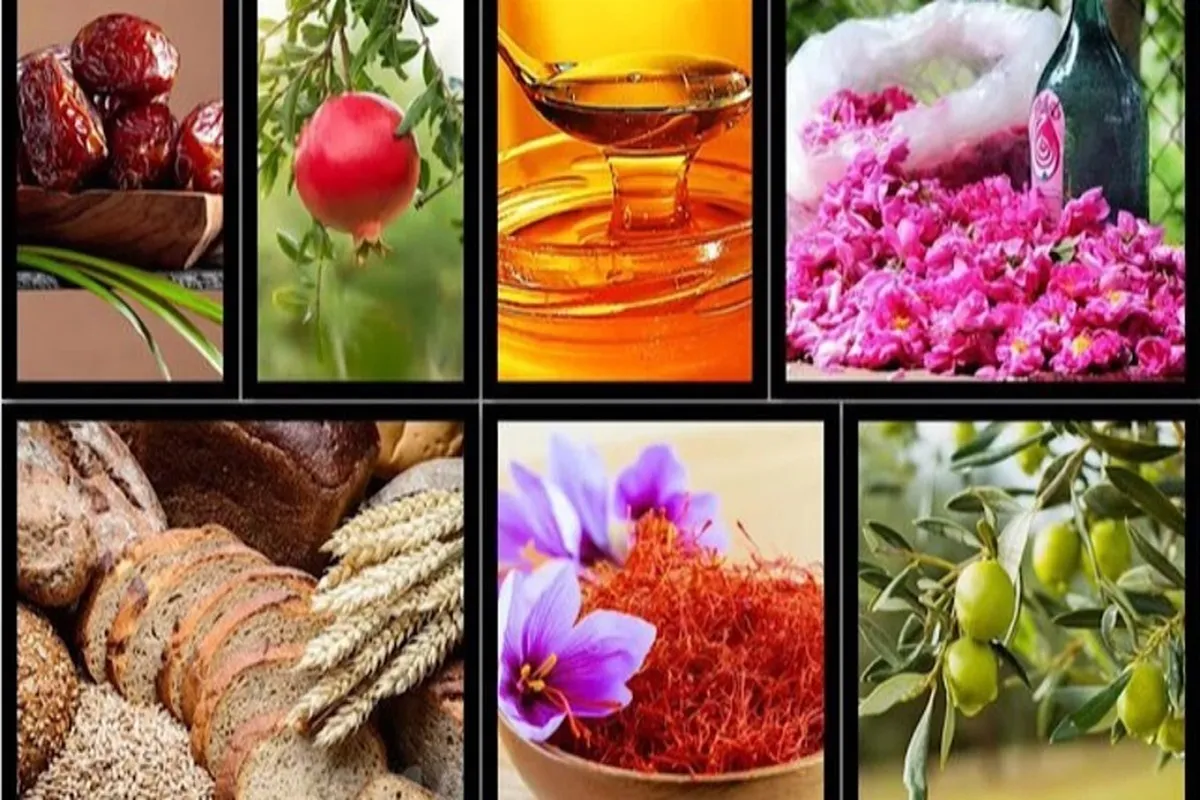 افزایش ۲۹ درصدی صادرات محصولات کشاورزی