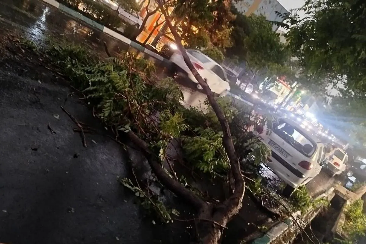 طوفان شدید تهران جان چند نفر را گرفت؟