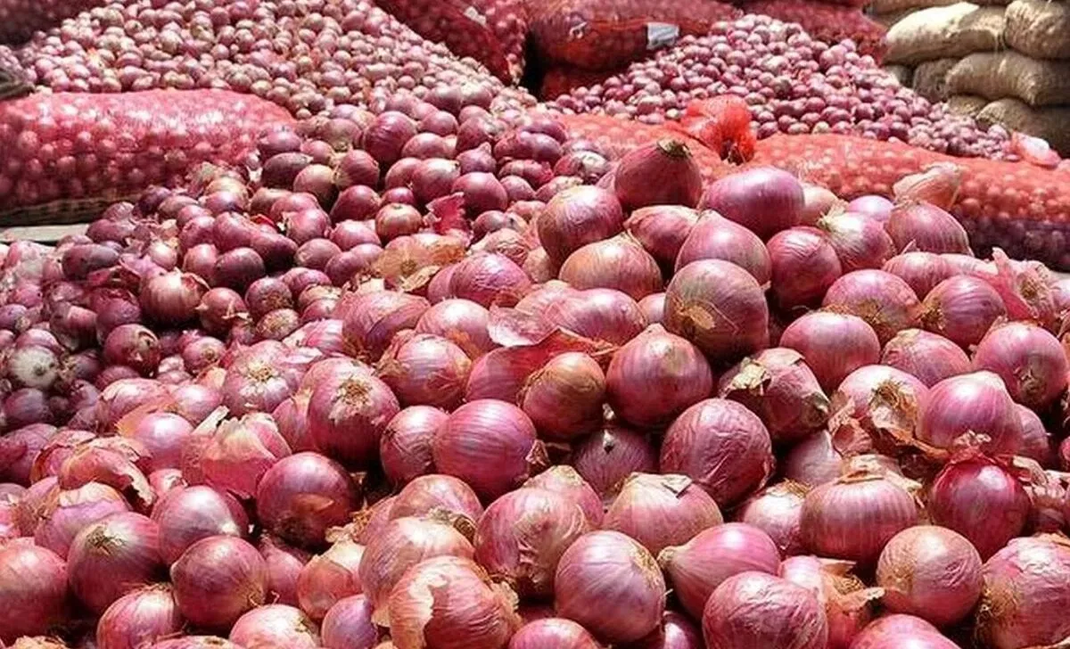 پرداخت فوری پول خرید تضمینی پیاز