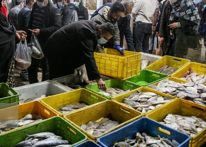 کمبودی در عرضه ماهی وجود ندارد