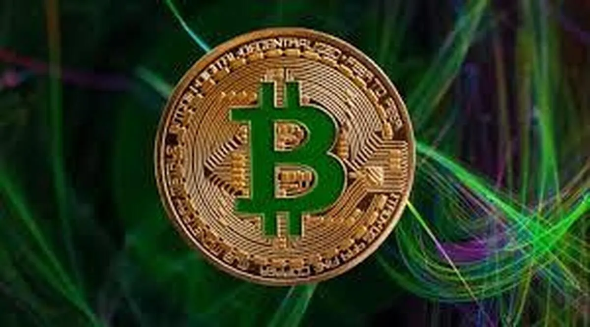 رکورد تاریخی جدید برای ارز دیجیتال؛ قیمت بیت‌کوین از ۱۱۶ هزار دلار عبور کرد