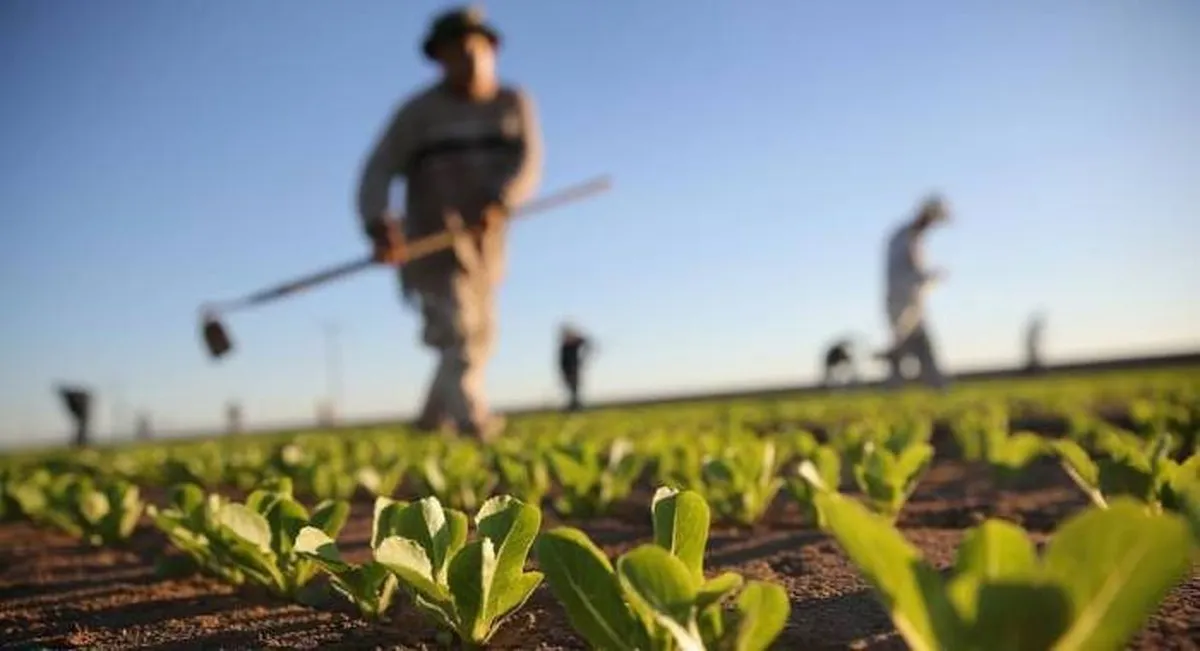 هزینه کشاورزان اروپایی بالا می رود؟