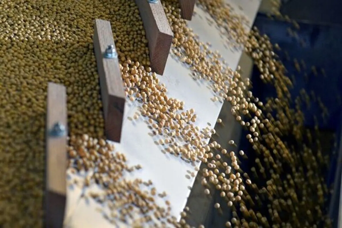 ترامپ به دنبال فروش ۲۰ میلیون تن سویای آمریکایی به چین