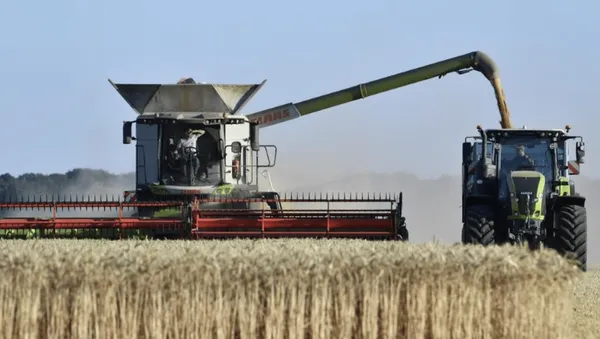 آتش تنش تنگه هرمز به گندم اروپا رسید