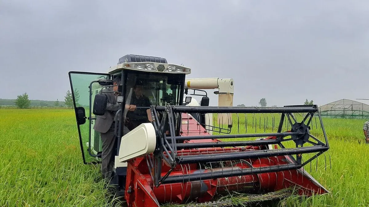 آغاز برداشت برنج با ۱۴ هزار کمباین تخصصی در ۶۰۰ هزار هکتار اراضی